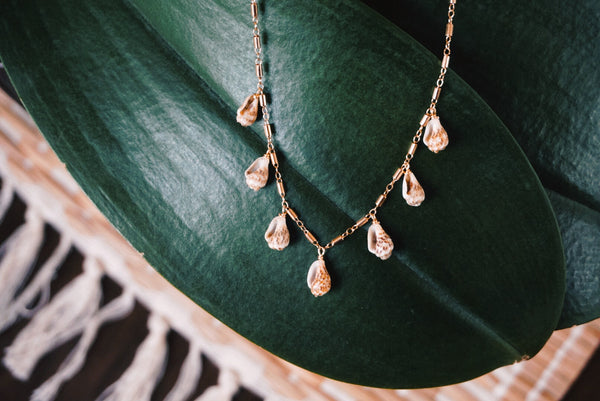 7 small shells on gold filled cable chain, product image