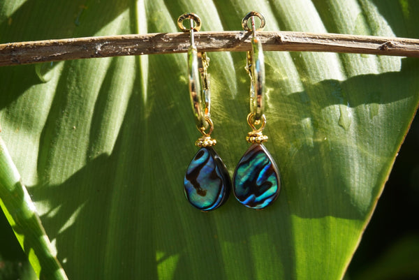 gold, mini hoop earrings, accented with abalone, product image