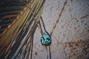 single abalone drop held by gold filled chain, product image